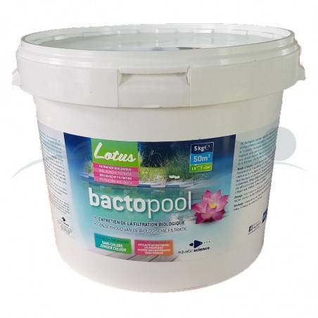 Bactéries pour baignade Bactopool